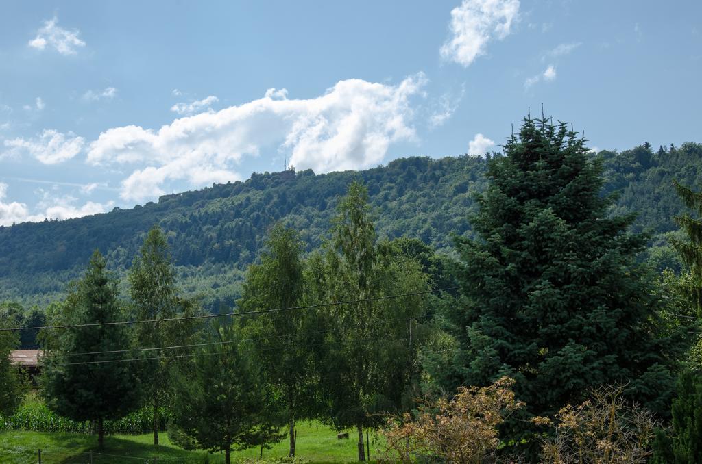 Meublé de Tourisme 3* Apartamento Saverne Habitación foto